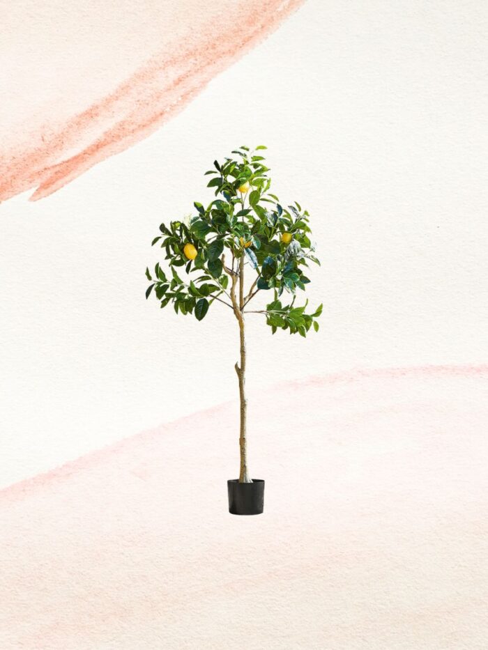Deko-Baum Darfield